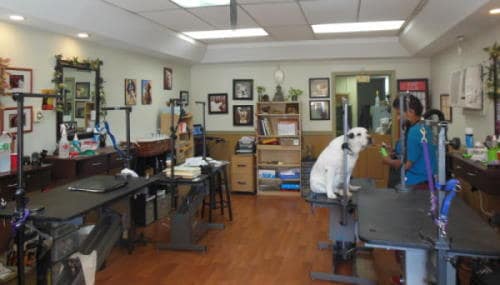 How to Franchise a Dog Grooming Business