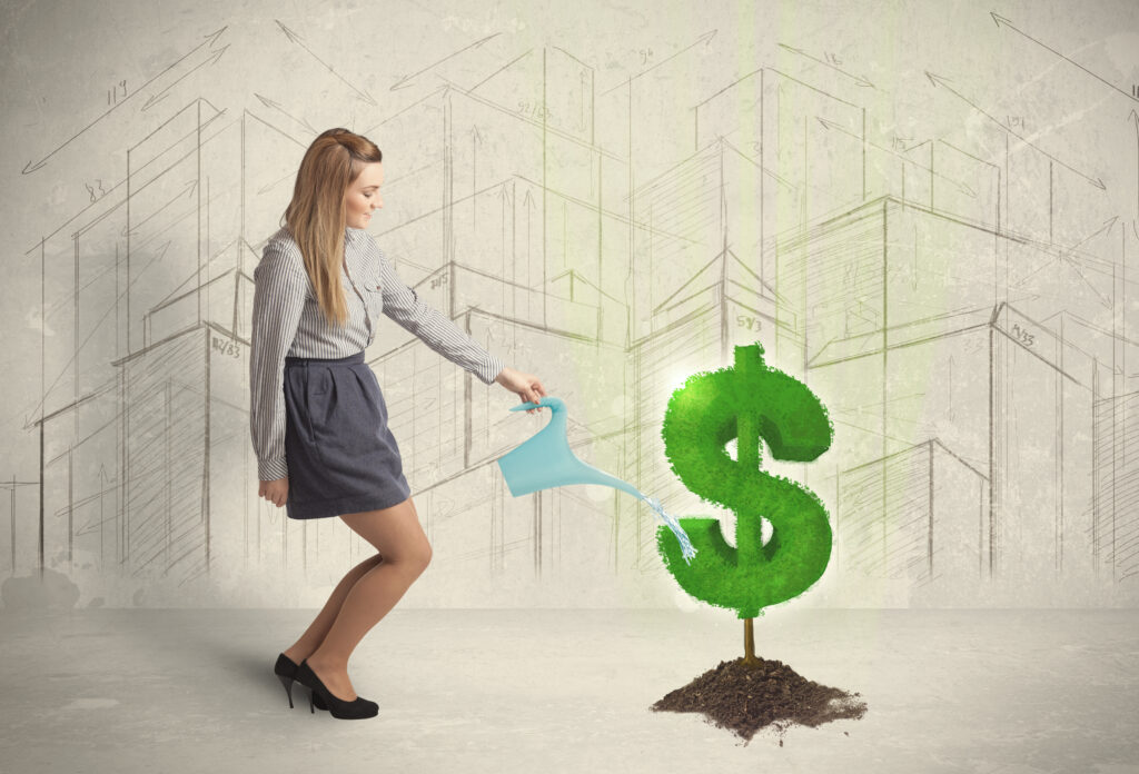 Beyond Franchise Development: Funding Your Franchise Company